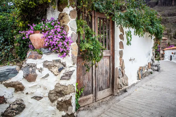 Garden door — Stock Photo, Image