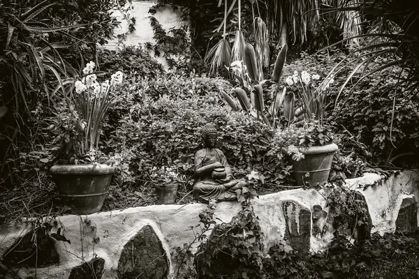 Buda Bahçe — Stok fotoğraf
