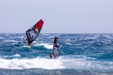 Windsurfing on Gran Canaria. clipart