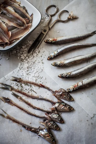 Raw anchovies on paper — Stock Photo, Image
