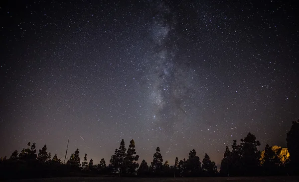 Via lattea sulla foresta — Foto Stock