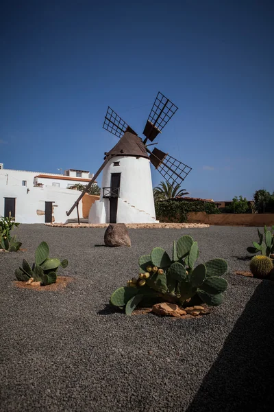 Old windmill — Stock Photo, Image