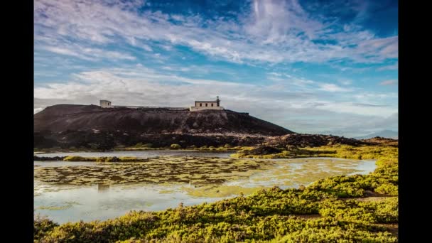 Caducidad del estanque — Vídeos de Stock