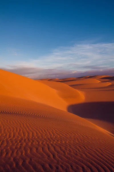 Sivatag és a dűnék — Stock Fotó