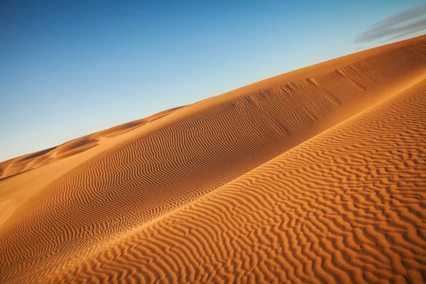 Desert and dunes — Stock Photo, Image