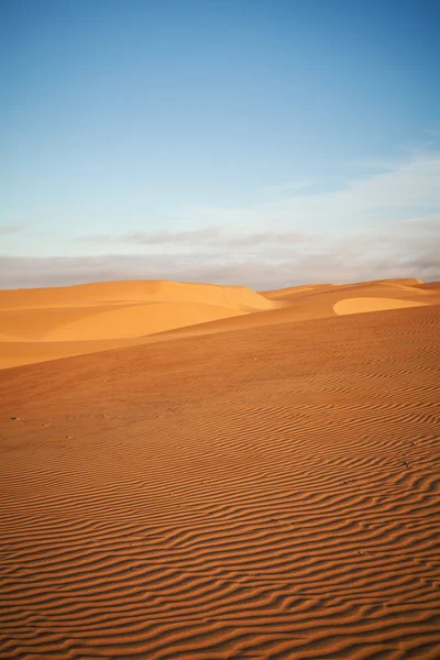 Woestijn en duinen — Stockfoto