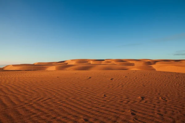 Desert and dunes — Stock Photo, Image