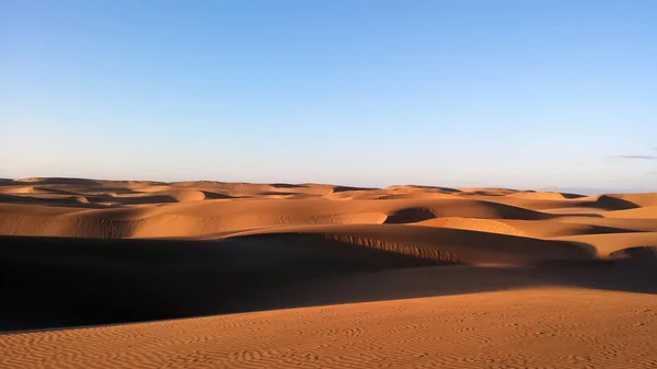 砂漠と砂丘 — ストック写真