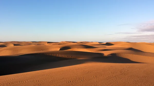 Wüste und Dünen — Stockfoto