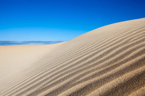 Wüste und Dünen — Stockfoto