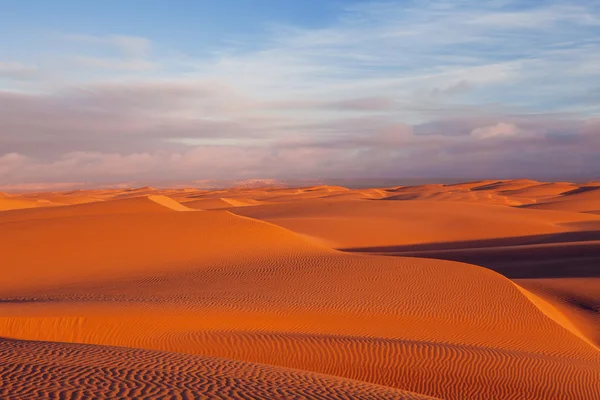 Desert and dunes — Stock Photo, Image