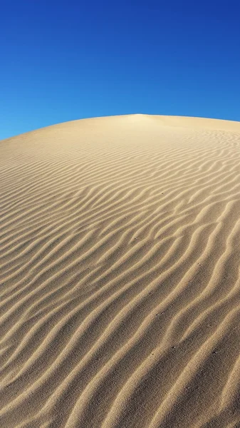 Пустыня и дюны — стоковое фото