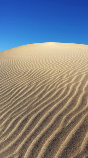 Poušť a duny — Stock fotografie