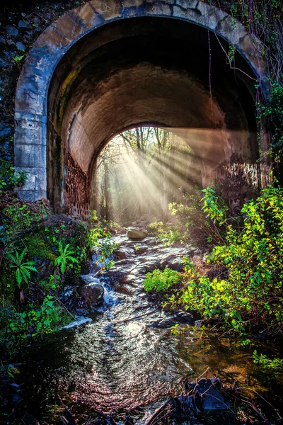 Stone brigde — Stock Photo, Image