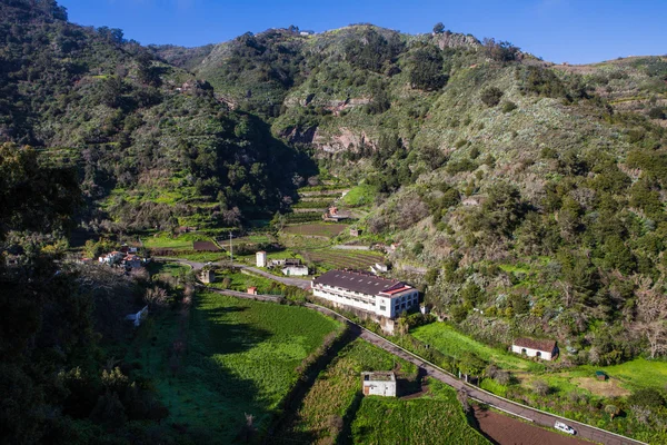 Lembah Hijau — Stok Foto