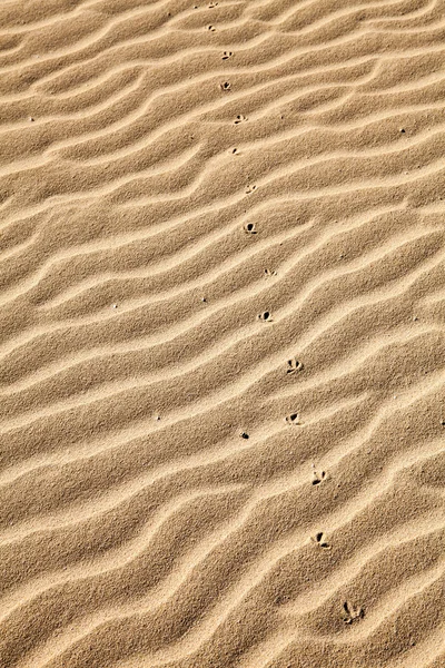 Sandabdrücke — Stockfoto