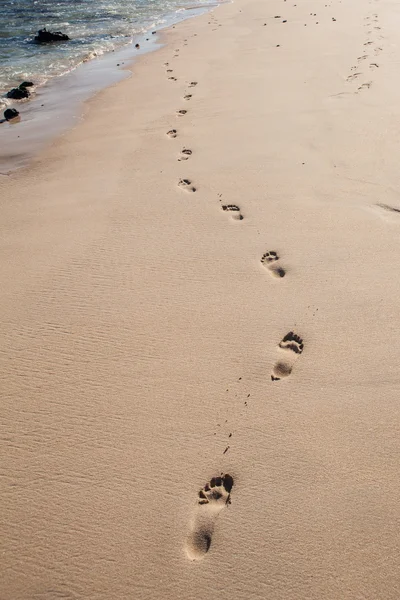 Sandabdrücke — Stockfoto