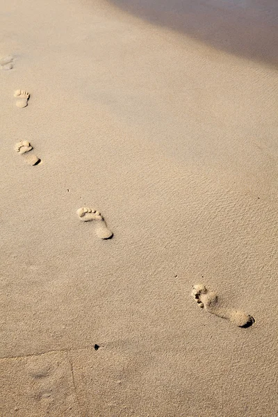 Sandabdrücke — Stockfoto