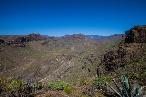 Desert valley — Stock Photo, Image