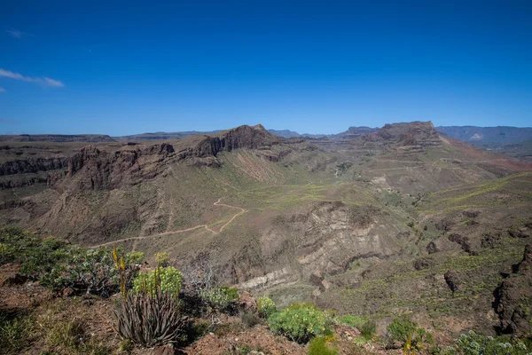 Desert valley — Stock Photo, Image