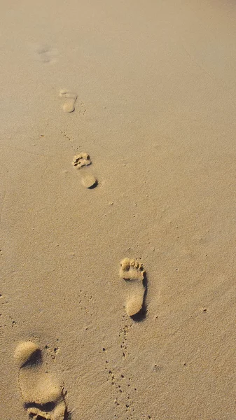 Fußabdrücke im Sand — Stockfoto