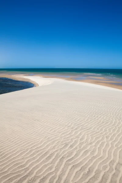 Dunas e oceano — Fotografia de Stock