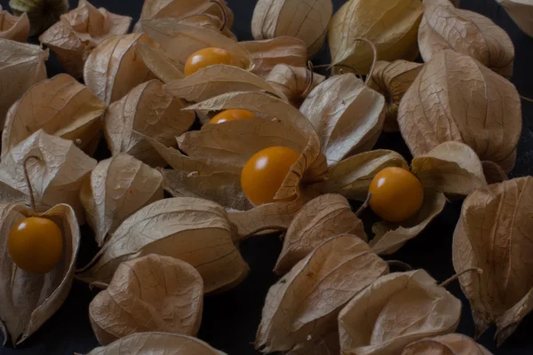 Tropical fruit — Stock Photo, Image