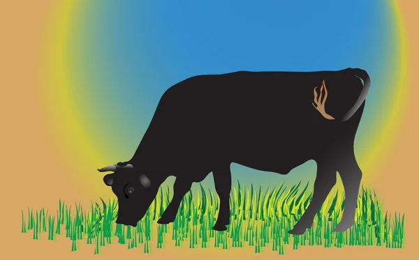 Vaca no campo verde —  Vetores de Stock