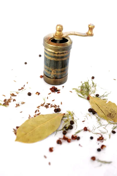Old spice grinder — Stock Photo, Image