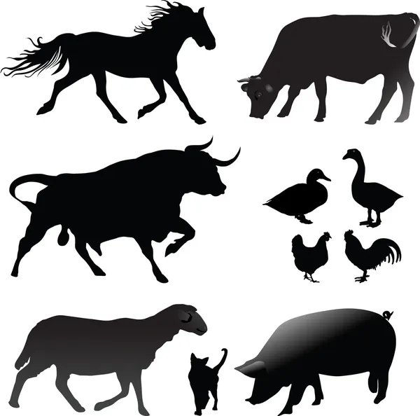 çiftlik hayvanları