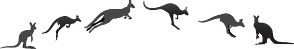 Kanguru farklı aşamalarında — Stok Vektör