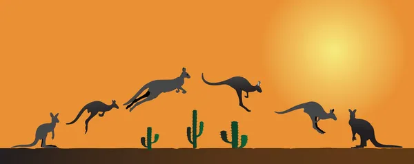 Känguru in verschiedenen Stadien bei Sonnenuntergang — Stockvektor