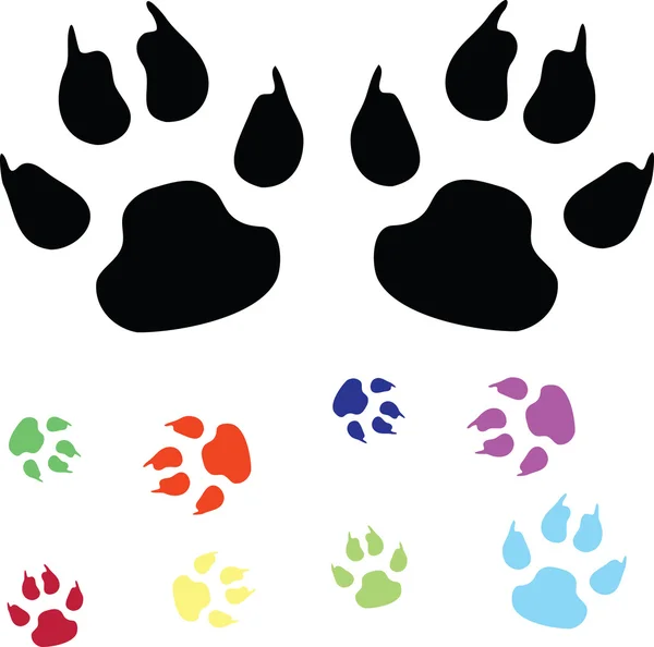 Animal paw prints — Stock Vector