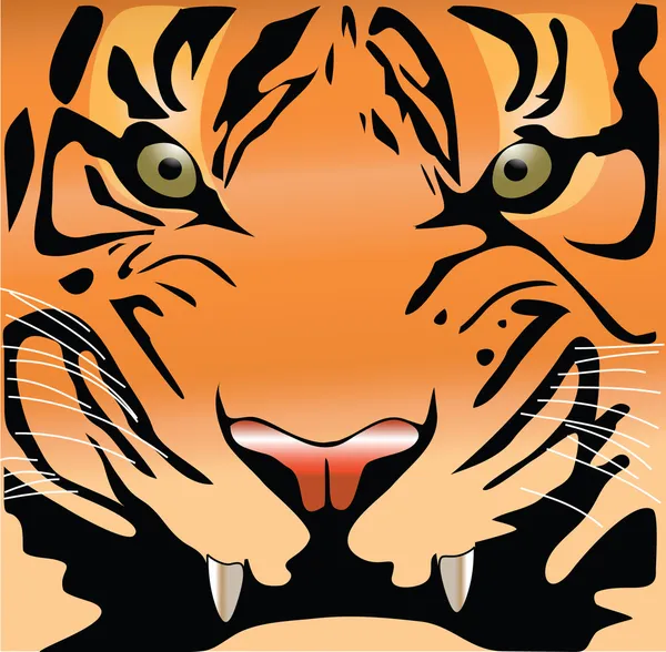 Cara de tigre — Vector de stock