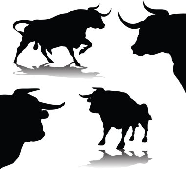 Bulls vektör