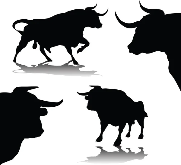 Vetor de touros —  Vetores de Stock