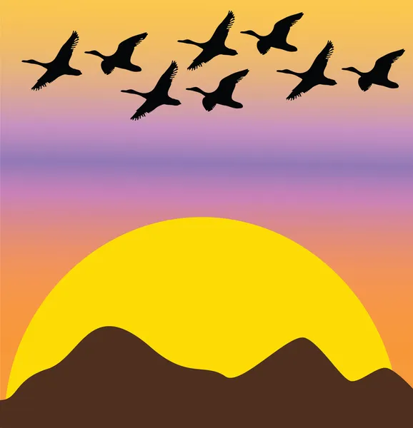 Aves migratorias al atardecer o al amanecer — Vector de stock