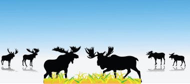Moose collection vector