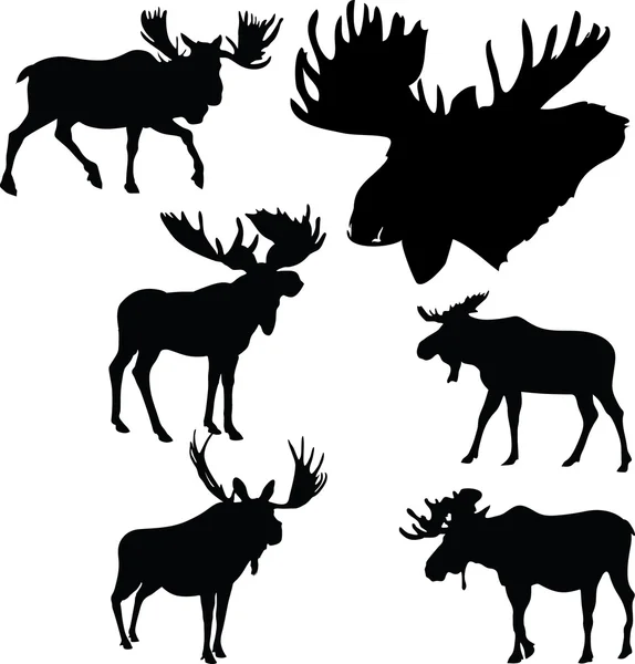 Moose silhouetten — Stockvector