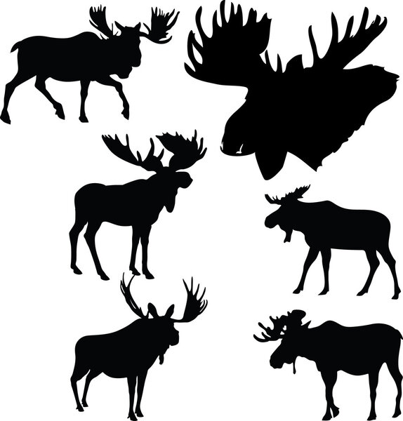 moose silhouettes