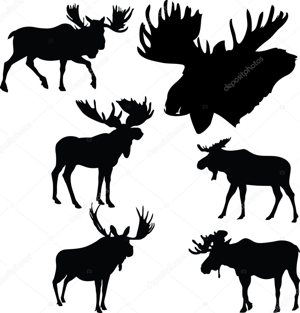 Moose silhouettes collection vector illustration