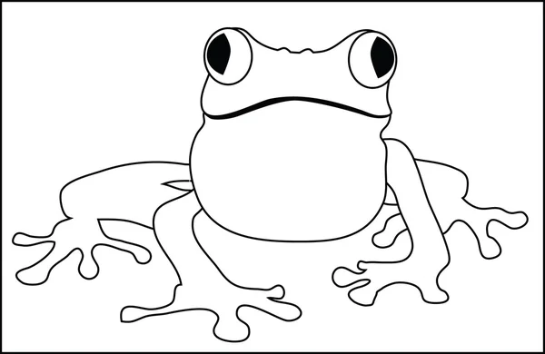 Žába — Stockový vektor