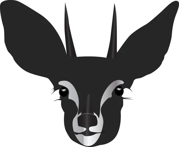 Antelope head — Stock Vector