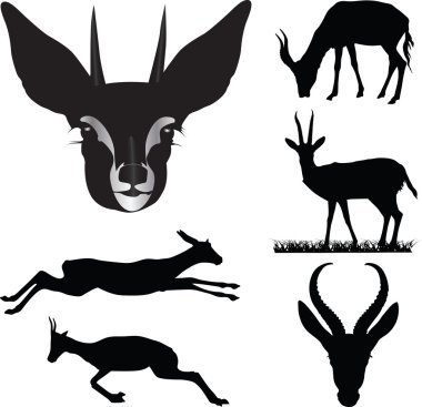 Antelope collection clipart
