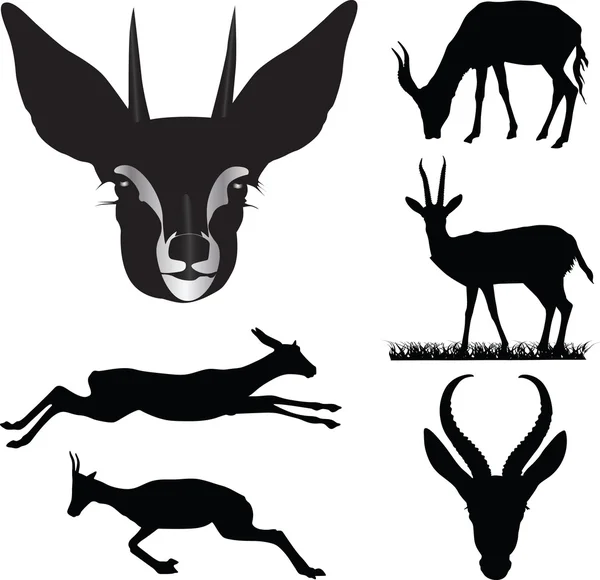 Antelope collection — Stock Vector