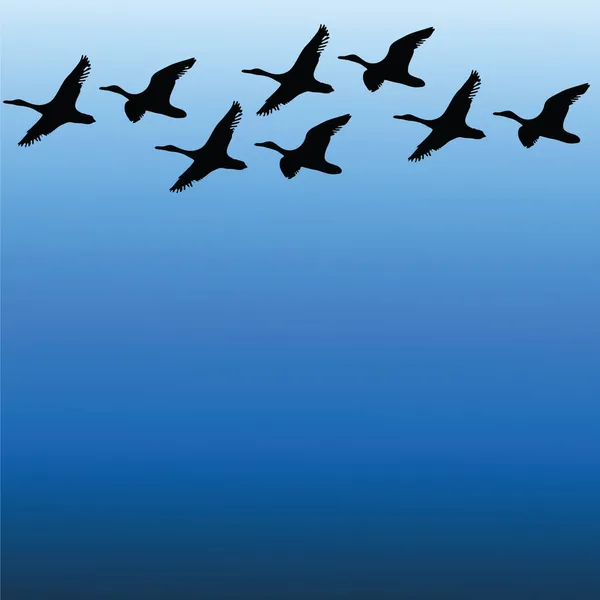 Aves Migratórias Céu Silhueta Cor Vetor Ilustração —  Vetores de Stock