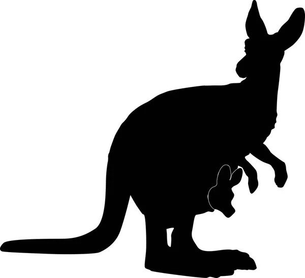 Kangaroo Baby Silhouette Vector Illustration Isolated — Stock Vector
