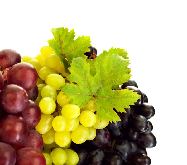 Diferentes tipos de uvas — Fotografia de Stock
