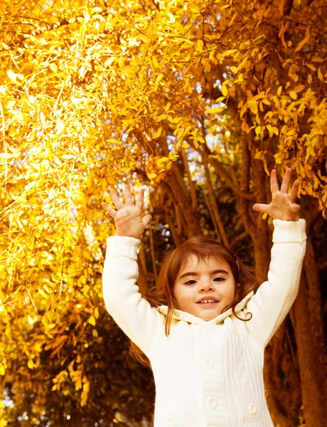 Jogo de outono de menina — Fotografia de Stock