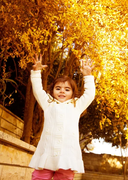 Small girl in autumn backyard — Stock Photo, Image